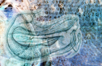 fish-scale-and-mermaid-for-web.jpg