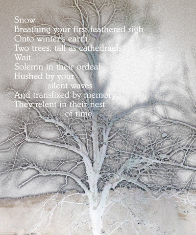 winter poem