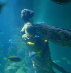 Figurehead Figurehead