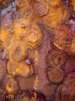 rust-on-pier-pole