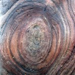 wood-groyne