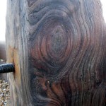 wood-groyne