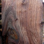 wood-groyne
