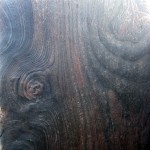 wood-groyne