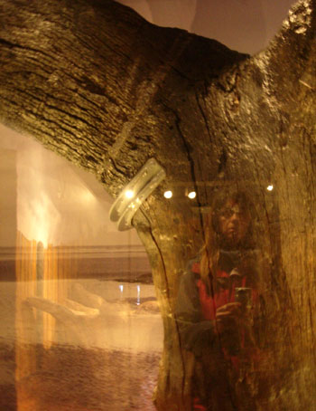 Seahenge tree with reflection Seahenge tree with reflection