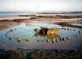 Seahenge before it was moved Seahenge before it was moved