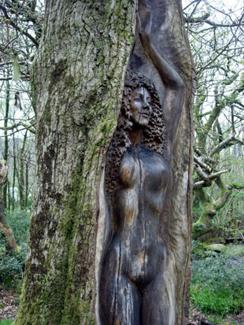 Tree woman carving Cae Mabon Tree woman carving Cae Mabon