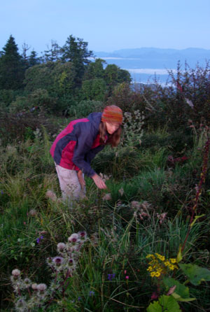 Burying a gift to the mountains