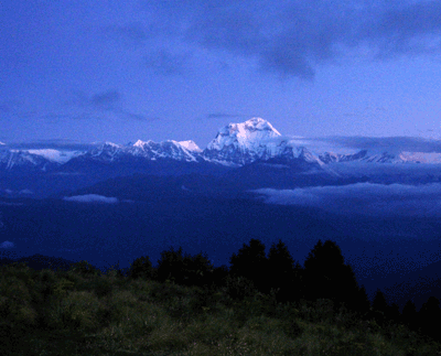 View of Dhauligiri from Poon Hill