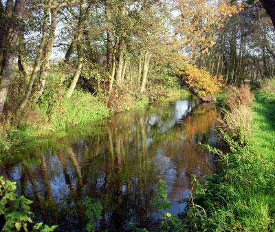 River Bure at Itteringham