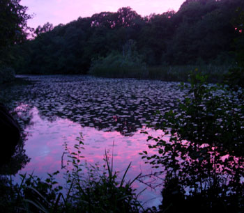 Furnace Pond at Ebernoe