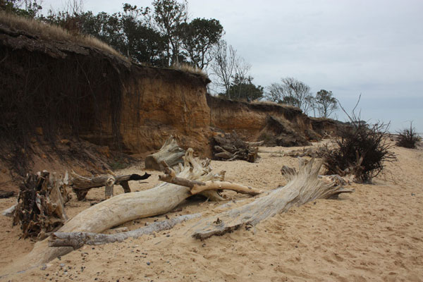 Covehithe Beach