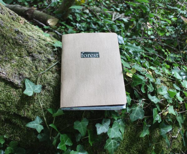 Forest Sketchbook