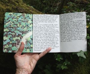 Forest sketchbook - Seima Forest