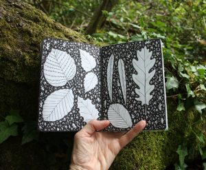 Forest sketchbook - pen and ink leaves