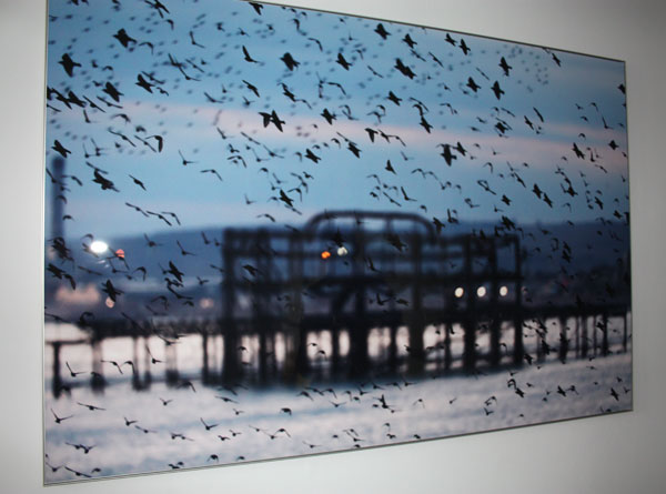 Pier and starlings by Chris Durham.