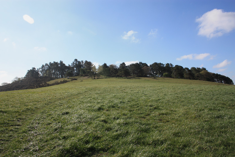 Pentridge Hill