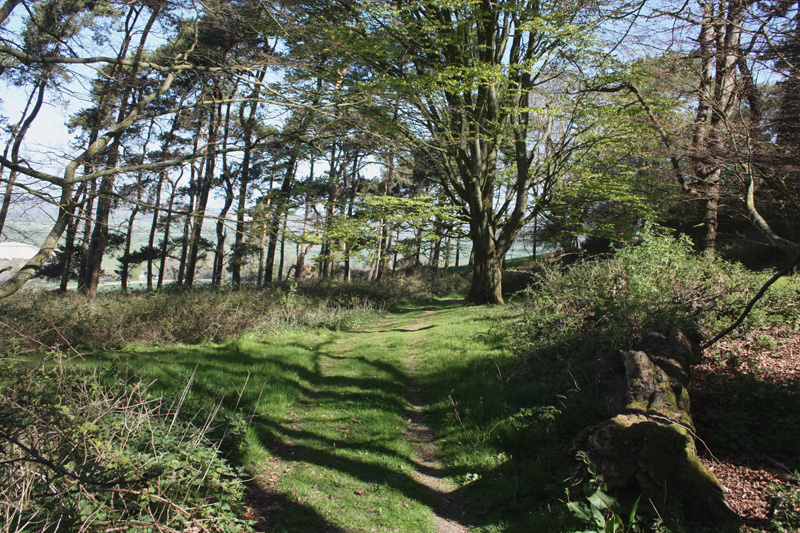 Pentridge Hill