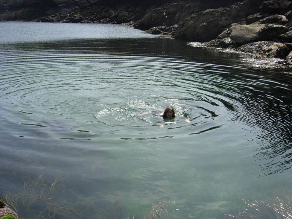 Swimming in the sea off Skokham with seals and jellyfish.