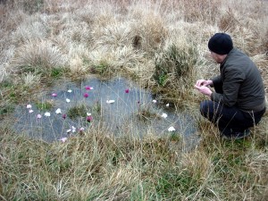 Blessing Sharpthorne Spring