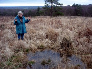 Blessing Sharpthorne Spring