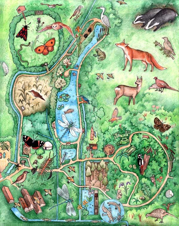 Wildlife Trust Children's Map