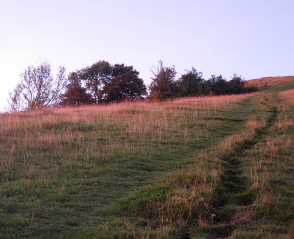 Sunrise over Wolstonbury Hill