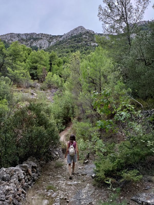 Walking up the ridge