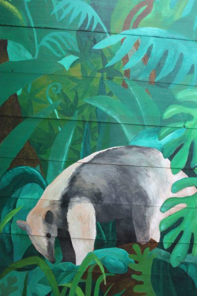 Anteater - shed mural
