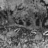 Badger scene