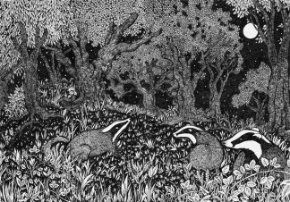 Badger scene