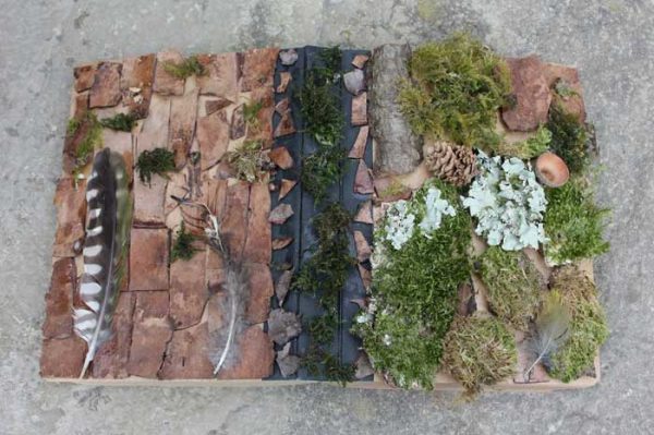 Bark and moss covered diary