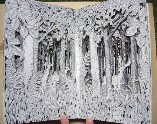 Beech Wood Altered Book