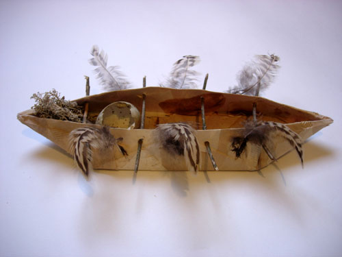 Nest Boat