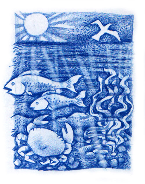 Blue Sea Scene Blue Sea Scene