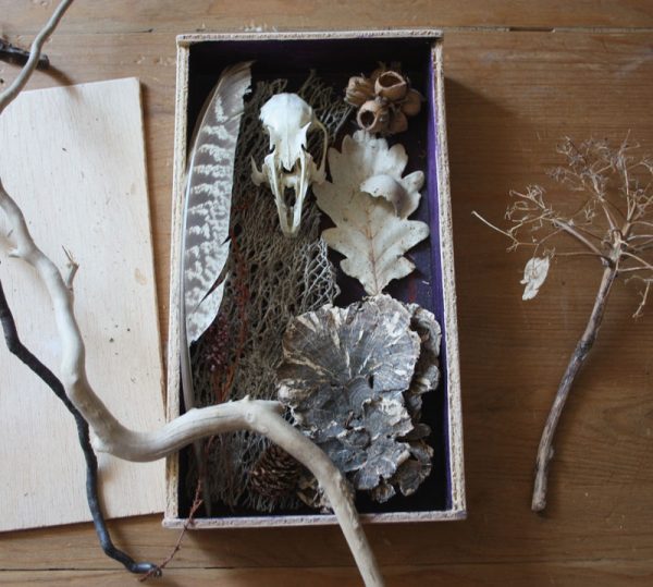 Box of Natural Finds