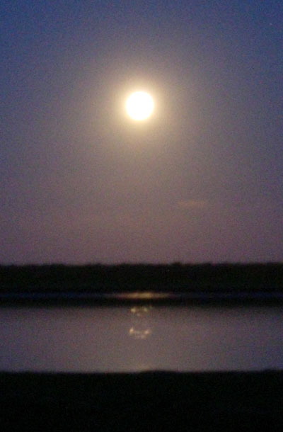 Butter Moon Butter Moon