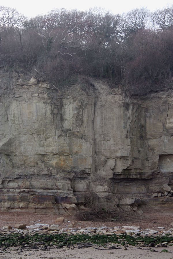 Cliff fall - Pett Level beach