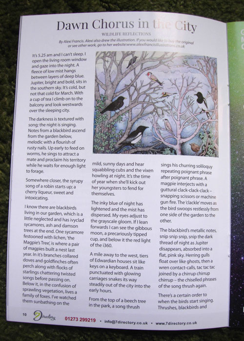 Dawn Chorus in the City Article