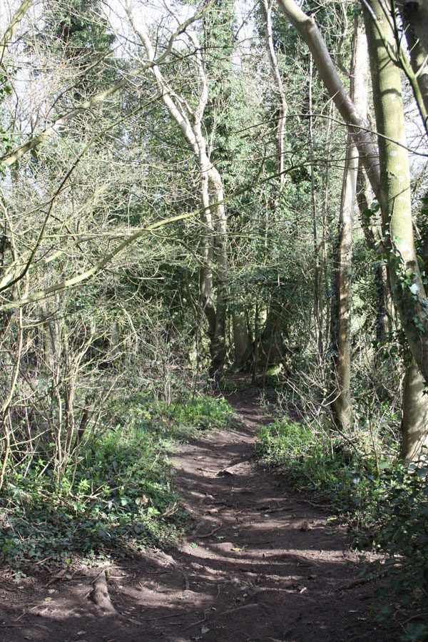 Dead Beech lane