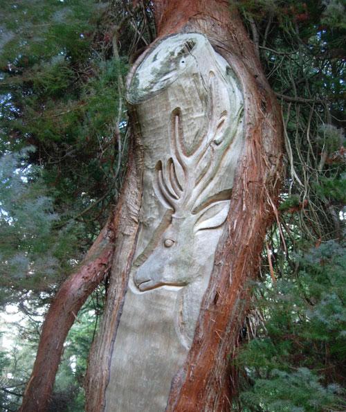 Sika Deer Carving in Cedar at Wakehurst Place