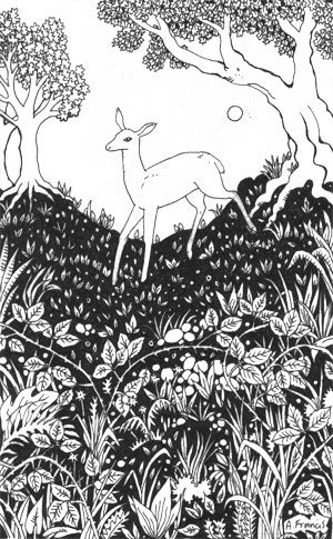 Deer in the Undergrowth