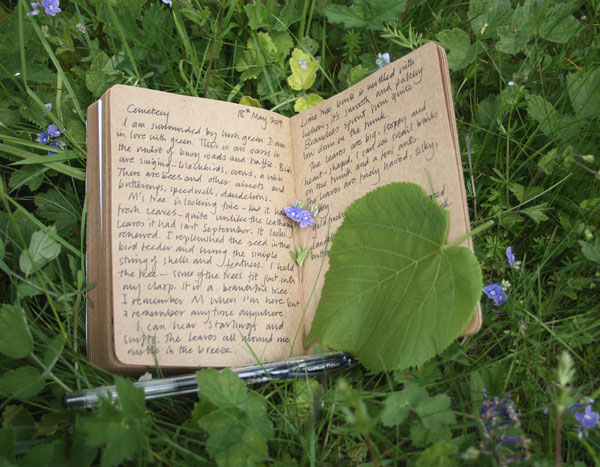 Diary in the grass