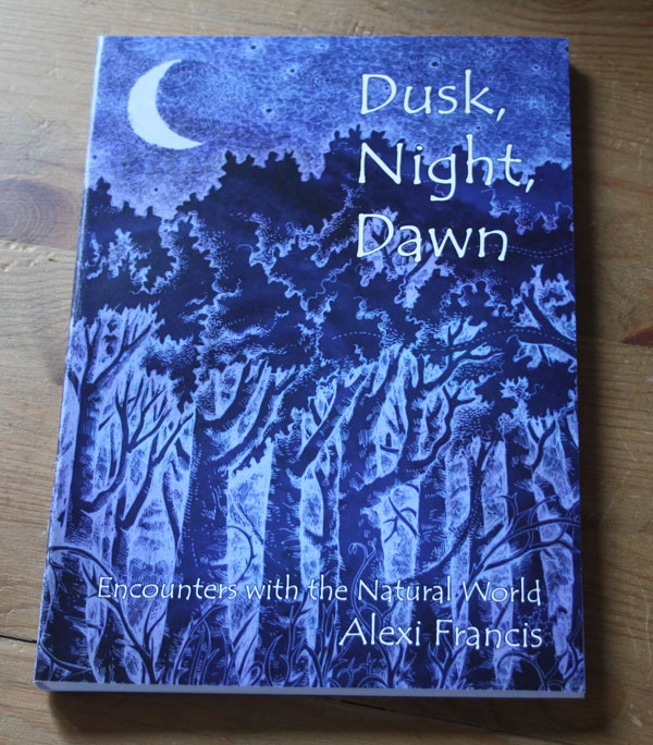 Dusk Night Dawn book