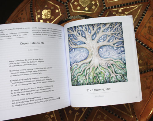 The Dreaming Tree in Minerva Rising