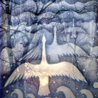 Echoing Swans Greetings Card