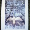 Echoing Swans