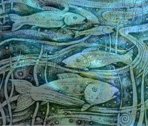 Fish in Stream