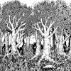 Daytime forest scene