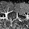 In The Forest - Concertina Greetings Card - Image 3